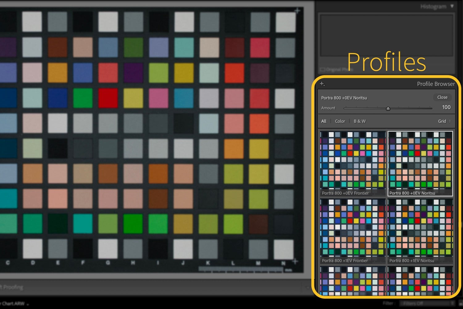 Film Presets vs. Profiles: Which Gives a More Accurate Film Look?