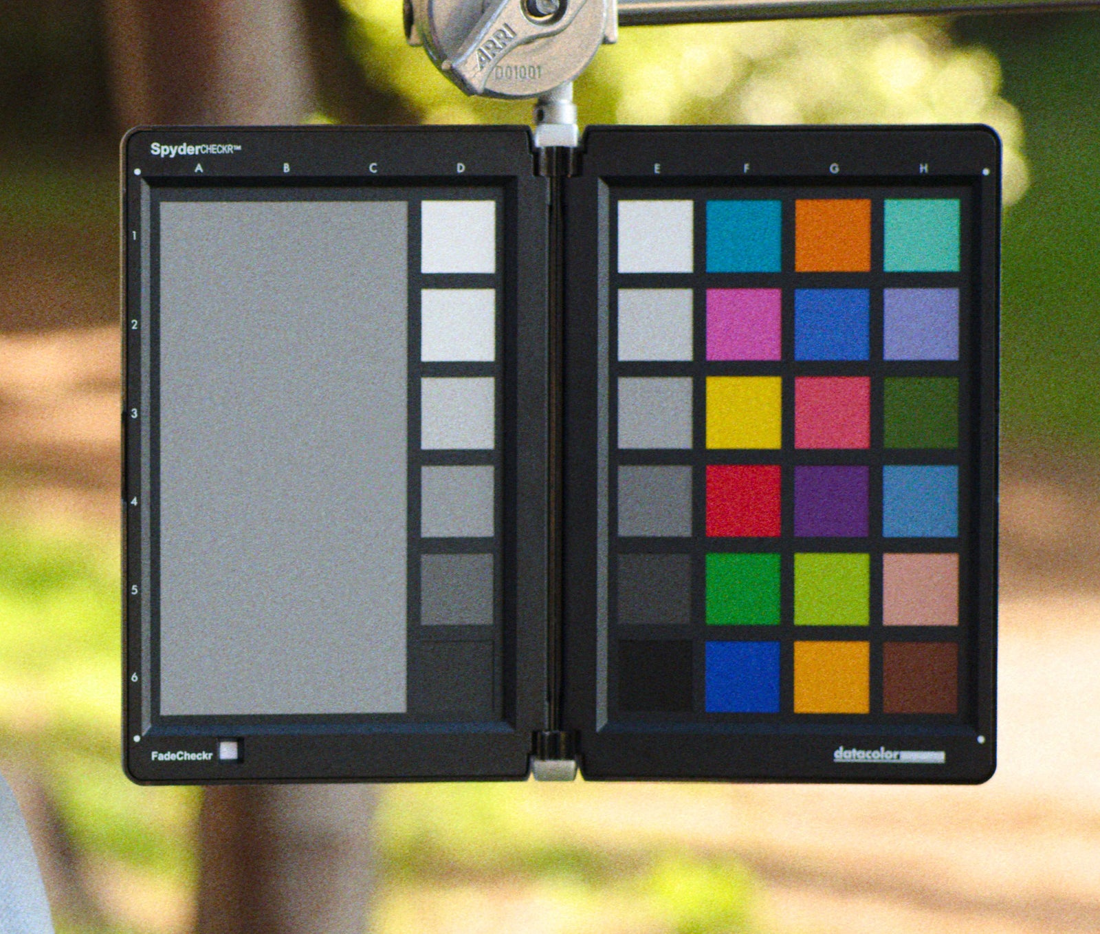 Chromatic Grain