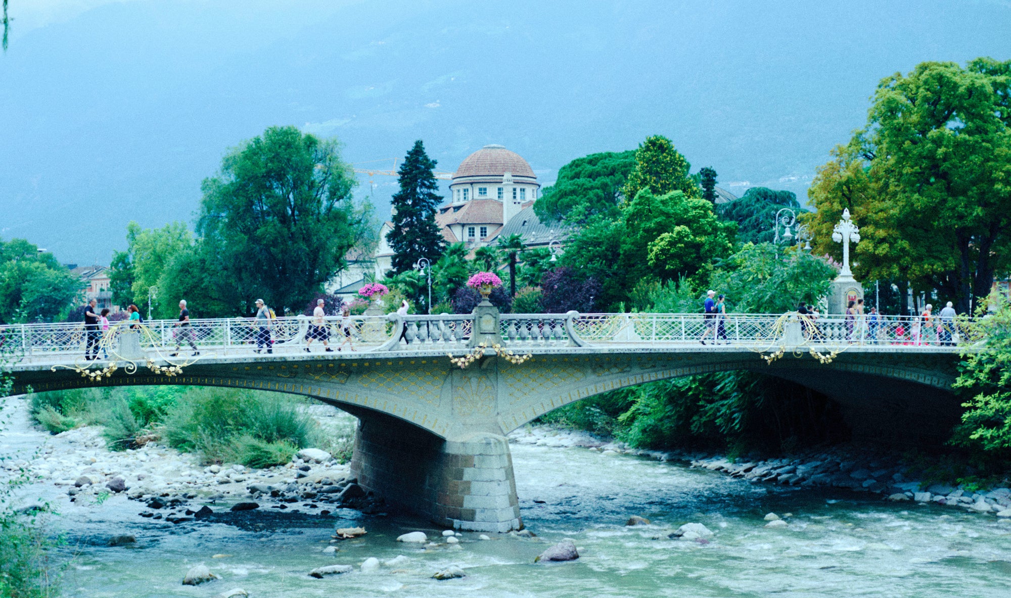 E100 cross processed