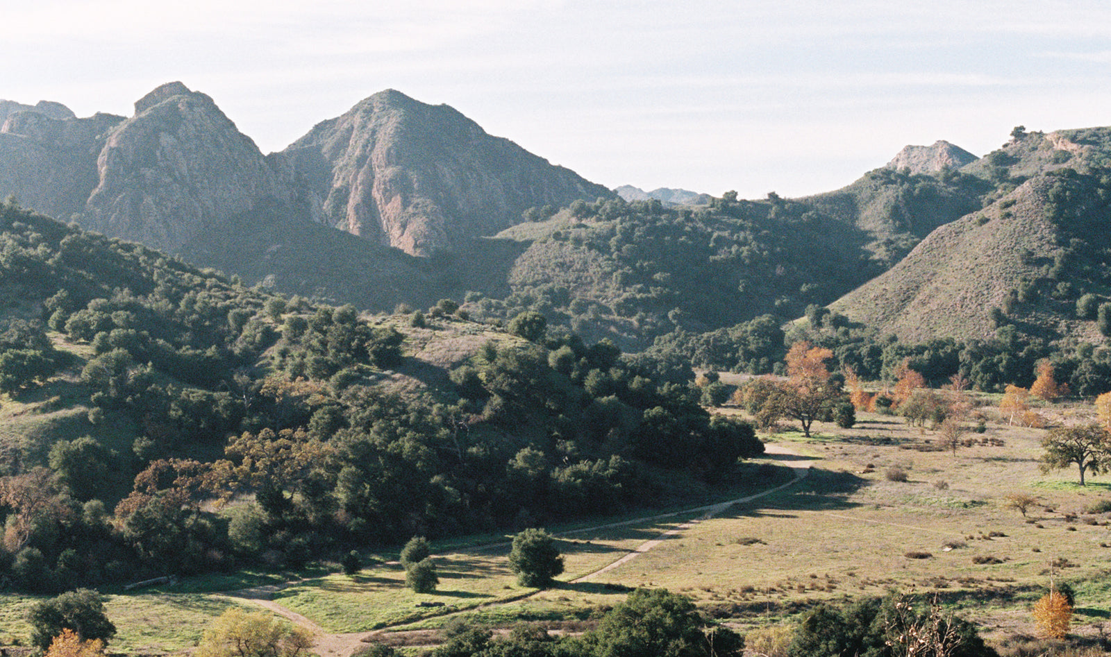 Natura 1600 Film