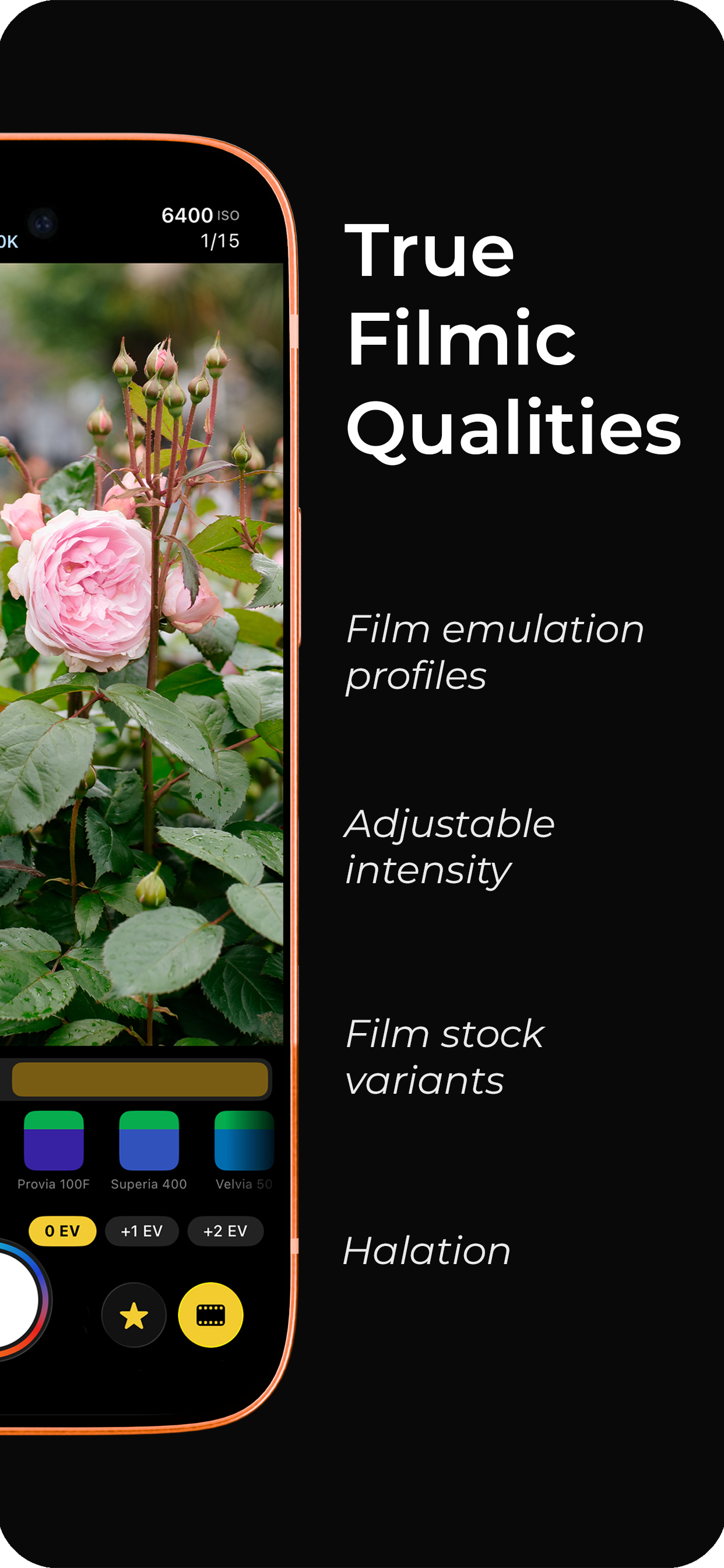 Film emulation profiles, adjustable intensity, film stock variants and halation