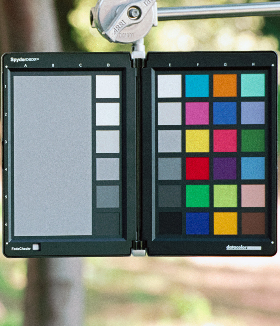 Pro 160S Film Scan